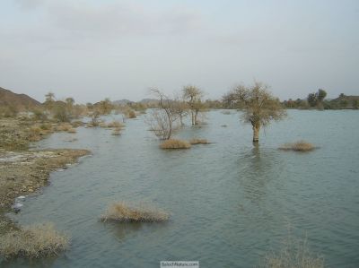 مسکِیں ڈگار
یک وھدے ادا بلوچانی مسکیں ڈگار بوتگ انت - بلے مرچاں میران ء ڈیم ء سوب ء بلوچانی ْقسمتے پیم ء زیر آب بوتگ انت 
