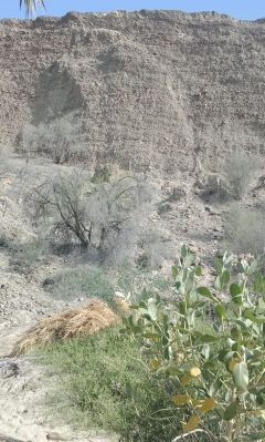 Asman Grand
آسمان گرند
Asman Grand
اے یک کوہ نام انت کہ شاپُک ءِ مچکدگ ءَ انت ۔ انچو پیریں مردم گوش انت کہ ادا وھدے زمانگ ءَ یک گرندے کپتگ۔ بلے ادا باز مردم زیارت ہم کن انت ۔ 
اکس ء منت شے جان رضا
