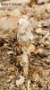 Filename=Hoshtre_kotaing.jpg
Filesize=253KiB
Dimensions=1000x1764
Date added=May 05, 2022 Hoshtre_kotaing.jpg