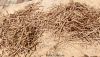 Filename=Maak.jpg
Filesize=541KiB
Dimensions=1731x1000
Date added=May 04, 2020 Maak.jpg