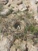 Filename=bolly_e_haik.JPG
Filesize=427KiB
Dimensions=1170x1530
Date added=Mar 05, 2023 bolly_e_haik.JPG