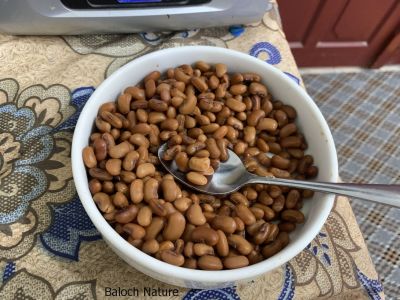 Boiled Black Eye Beans
Maak
ماک
ماک بلوچستان ء ڈگار او کُچّگاں مرچی ہم زینت انت ، ماک دراجیں کوسرک پر کنت کہ اسپیت گونگ انت - ماک ہم بلوچستان ء یک دھل ء زانگ بیت - ماک ء کُوّل باز تام دار انت - ماک ء کشار ہم سبز او ڈولدار انت -۔
ادا ماک کوول کتگ ۔ ماکے کوول باز تام دار انت ۔ 
