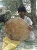 Filename=IMG-20140827-WA0005.jpg
Filesize=125KiB
Dimensions=600x800
Date added=Apr 26, 2020 IMG-20140827-WA0005.jpg