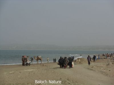 Gaddani Beach
گڈانی تیاب دپ
Gaddan Tayab dap
گڈانی موسم ءُ تیاب باز جوان انت اے اکس گڈانی تباب ء دپا کش اتگ کہ اودا تروتاب ءُ سیل کنوکیں مردمانی کمی نہ انت ۔ بلے اے شر کنت لوٹ انت تنکہ گیش چہ گیش مردم تروتاب گڈانی بیا انت ۔ 
