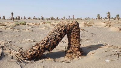 Chaghi Oasis 
Chaghi e tabahen Machkedag
چاغی ءَ تباہیں مچکِدگ
اے یک مچکدگ انت کہ ویران ءُ تباہ انت ۔ چیا کہ بلوچاں سہولت نیست کہ آپ پیداک بکن انت ءُ اے مچکدگاں سیراپ بکن انت کہ اے مچکدگ آباد بہ بنت ۔ اشانی تباہی ءُ بربادی ءُ زمہ وار بلوچستان ءِ حکومت کہ ہچ وڑیں کمک بلوچستان ءِ کشاورزاں نہ دنت ۔ ہمے سوب انت کہ بلوچستان روچ پہ روچ دیم پہ زوال روان انت ۔ 
