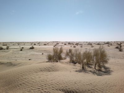 Washok landscape
واشُک ءِ ندارگ
Washok e nadarag
اے واشُک خاران ءِ یک ندارگ ات کہ باز ڈولدار انت ۔ 


