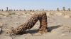 Filename=Chaghi.jpg
Filesize=74KiB
Dimensions=800x450
Date added=Oct 03, 2021 Chaghi.jpg