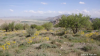Filename=landscape_Balochistan.png
Filesize=879KiB
Dimensions=889x500
Date added=Apr 04, 2020 landscape_Balochistan.png