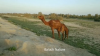 Filename=Hoshter.png
Filesize=1037KiB
Dimensions=1280x720
Date added=Mar 24, 2020 Hoshter.png