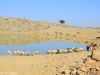 marri_hills_by_MA_Talpur.jpg