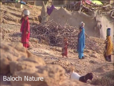 Balochani Zind
Balochani Zind
بلوچانی زند
دگنیا شتگ ءُ آزمان ءِ سر بوتگ بلوچ انگتہ وتی کوہنیں دگنیا ءَ گوں دز گٹ انت بزاں در بچن ۔ پس بچاریں ہُشتر و گوکاں بو ءُ دگہ بازیں اڑ ءُ جنجالاں گلائیش ان ت اے اکس ءَ چے زانگ بیت کہ بلوچاں چنچوک دیم ریئ کتگ ۔ 
