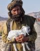 Filename=Baloch_Old_man.jpg
Filesize=46KiB
Dimensions=552x685
Date added=May 12, 2020 Baloch_Old_man.jpg