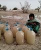 Filename=Milky_waters.jpg
Filesize=41KiB
Dimensions=438x537
Date added=Feb 20, 2023 Milky_waters.jpg