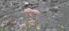 Filename=Botag.JPG
Filesize=99KiB
Dimensions=1600x738
Date added=Feb 18, 2020 Botag.JPG