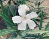 Filename=Jor.jpg
Filesize=128KiB
Dimensions=1246x1000
Date added=Jul 07, 2022 Jor.jpg