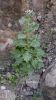 Filename=Koh_Bang.jpg
Filesize=130KiB
Dimensions=581x1032
Date added=Feb 22, 2020 Koh_Bang.jpg