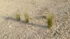 Filename=Robah_domb.jpg
Filesize=380KiB
Dimensions=960x540
Date added=Oct 16, 2024 Robah_domb.jpg