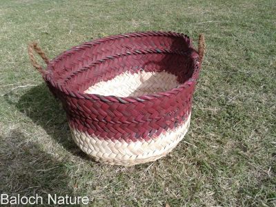Baloch classic tray 
سپت
Sapt
بلوچستان ءَ سپت چہ ھزاراں سال کارمرز بوّگان انت ۔ سپت چہ داز ءِ پیش ءَ جوڑ بیت ۔ ایشیا گیشتر پہ ناہ ءُ دان ءُ کاہ ءِ چست کنت ءُ دومی جاگہ برگ ءَ کارمرز بیت ۔ 
