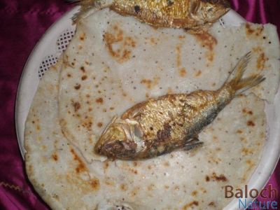 fried Fish with Brown Bread
Kolgar o Dotalwin Nan
کولگر دوتلویں نان 

بندرے مردم اشارا شکار کنت او اشارا کولگر گوشیشنت 
بلے چہ بندرا دور کولگرا چہ گیشتر لُجّر گُوشنت - بلے کولگر بہ بیت کہ لُجّر بلے دوتلویں یا روگنی نانے گونا باز وش انت,
