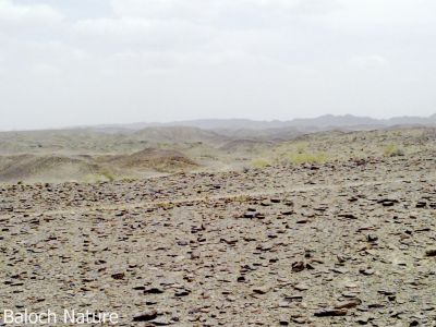 A landscape of Zamoran Balochistan 
بلوچستان ء نداراگ
Balochistan e Nadarag
بلوچستان ء ہور ء نہ بوگ ء سوب ء چہ درچک ءُدار ء نہ بوگ ہور پہکا بیگواہ انت ۔ چمیشکا بلوچستان کوہ انچو سما بیت کہ سُستگ ءُ  مان داشتگ انت ۔ 
