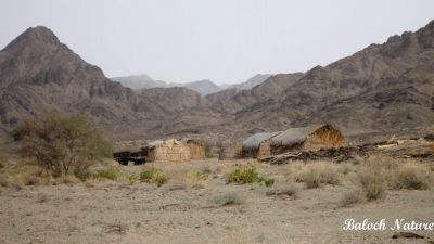 A view of Balgatar
بالگتر ءِ ندارگ
Balgatar e nadarag
بلوچستان ءَ چونایا سُرمگیں کوہ باز انت ، بلے اگاں تئی میتگ ہمے کوہانی لمب ءَ بہ بیت گڈا باز ڈولدار بیت ۔ اے وڑیں میتگ بلوچستان ءَ ھزارانی ھساب ءَ است ۔

