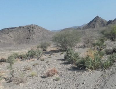 Landscape of Balochistan
بلوچستان ءِ ندارگ
Balochistan e Nadarag
بلوچستان ء ندارگ باز ڈولدار انت ۔ بلے اکس کشوک بہ بیت۔   مرچاں ہمک مردم وتا یک اکس کشوک کنت بلے اے وڑ نہ انت ۔ 
