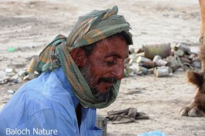 Life of Baloch
بلوچ ءِ زند
Baloch e zend
بلوچ ءِ زند گیشتر ماں مال چارینی ءَ گوستگ ، بلے مرچی ہم اے بلوچ ساربانی کنت وتی لوگ ءِ ھرچ ءَ درکنت۔ آ روچ پہ بلوچ ءَ کدی کیت کہ آسودگیں رزق ءِ دست بہ دنت ۔ 
