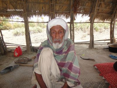 A Baloch Oldy
Baloch Droshom
بلوچ دورشُم
اے کماش کہ کاپرے چیرا نشتگ سواس او داس ء کشا ایر انت کہ مالوم بیت چہ وتی زمینانی سرا کارے کتگ او واتر بوتگ، اے اکسے توکا پدی نیمگا داز زاہر انت چریشیا پدّر بیت کہ اے واجہ کوہستگے مردم انت - بلوچستان کوہ نیشینیں مردم او لوگ او جاگہ باز انت -۔
