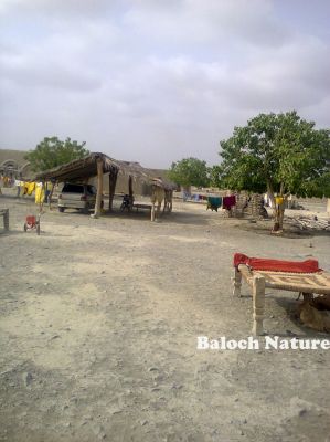 Baloch Inhabit 
بلوچ بود ءُ باش
Baloch bod o bash
بلوچانی نند و نیاد یک ندارگ ءِ اے اکس ھیرآباد کیچ یک میتگیگ انت۔ 
