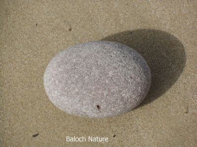 Stone 
ساپین سنگ
Sapin sing
 سنگ جہان ءَ باز انت بلے بلوچستان ءِ سنگانی وتی جتائیں ساپی ءُ رنگ ءُ دروشم است انت ۔ مرچاں اے سنگانی لوٹ باز بوتگ پرچا کہ جہان ءَ ڈیکوریٹ کنگ ءِ واستہ اے سنگانی لوٹ باز انت 
