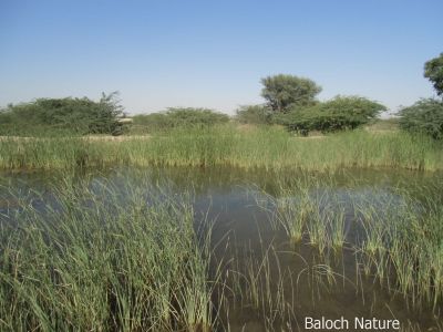 A look of Hub Balochistan 
حب ءِ ندارگ
Hab e nadarag
