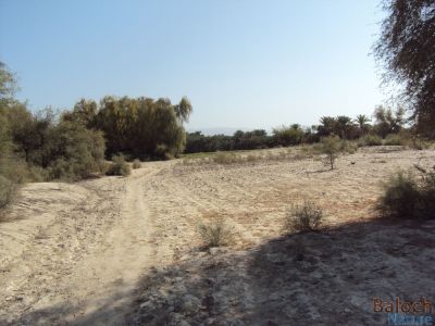 Rain cultivate land
Dagaarani Nadarag
آزمان گندیں ڈگارانی ندارگ

کہن وتی آبے ردا کشار کن انت - بلے بلوچستان ء آزمان گندیں ڈگار ھورے سرا کشار بنت - اے اکسے توکا ھور نہ گواھیت بلے ڈگارے وتی ڈولداری برجاہ انت

