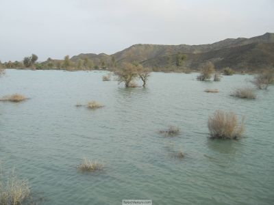 A view of Balochistan
ندارگ
یک وھدے بُوتگ کہ ادا کڈب، ماش، ول لُڈّتگاں - بلوچاں وتی زند شوہازتگ - بلے مرچی میرانی ڈیم ء سوب ء یک دریا ہے چول جنگا انت دراچک دار یک یکا مراں گار او بیگواہ بوّان انت

