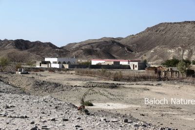 Village of Deyaat
Deyaat e Metag
دیات ءِ میتگ
دیات میران ءِ ڈیم ءَ چہ پیش کیچ کور ءِ کش ءَ آباد بوتگ ۔ بلے مرچی باندا دیات دو بازار ءَ بہر بوتگ  ۔ لہتیں مردم مند دگ ءِ کش ءَ آباد انت ءُ لہتیں مردم میران ڈیم ءِ راہ ءِ کش ءَ کوہانی دامُن ءَ آباد انت - اے ہم ءِ دیات بوتگ شہید حمید ءِ وڈیں مزن دل ءِ پیداک کتگ ۔ بلے انچو سما بیت کہ بلوچانی نا تپاکی انت کہ یکّ ءِ چہ دومیا دور ءُ گستا بوّان انت ۔  منی ھیال ءَ دیات ہم ہمے نا تپاکی ءَ چہ دو میتگ ءَ بہر انت ۔ 

