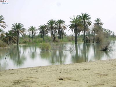 Water in Oassis
زوالیں مچکدگ
گزّی ء بُگ نامداریں بُگے بُوتگ بلے میرانی ڈیم ء اڈ بوّگا رند اے جاہ گورم جوڑ بوتگ - 2007 ء جوڑکتگیں اکس انت - مرچی باندا اے مچ مُرتگ او ھلاس بوتگ انت 
