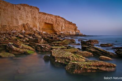 Gwadar Turtle Breeding Point
Gwadar Kapessi
گوادر کپسّی
اے گوادر کپیسی انت کہ ادا گیشتر کپیس بزان کسیپ کاہنت و چُک او بر کن انت چمیشکا اے جاگہ کپیسی نام ء سرا نام کپتگ - اے باتیل ء کوہ ء دیمی زر انت - اے اکس بازیں شرّیں وڈیا گرگ بوتگ کہ باز ڈولدار انت - اے وڈیں اکس باز کم دست کپ انت -۔
اکس ء منّت
جان البلوشی
