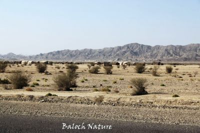 Way to Miran Dam
میران ءِ ڈیم ءِ راہ
Miran Dam e rah
اے وڑیں ندارگ بلوچستان ءَ باز انت ۔ اے راہ دیم پہ میرانی ڈیم ءَ روت ۔ اے راہ ءِ سرا نوک آباد بوتگیں میتگ گندگ بیت ۔ 
