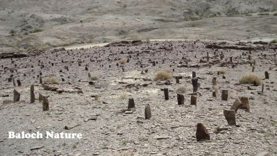 A Baloch old graveyard 
دشتک ءِ کبرستان 
Dashtok e Kabristan 
اے کبرستان بلوچستان ءَ دشتوک زعمران انت۔ اے قبراں اگاں مردم بچاریت ہمے سرپد بیت کہ بلوچ ادے کوھنیں بود ءُ باش کنوکیں راج انت۔ اے کبر گوں زمین ءَ برابر انت۔ کبرانی سرا بلوچ باز ھاک ءُ ڈل ءپ ڈوک پر کن انت، بلے ادا درُست گار ءُ بیگواہ انت، چریشیا مردم سرپد بیت کہ بلوچستان بلوچ راج ھزاراں سال بلوچستان ءَ راج کتگ ۔ 
