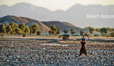 A view of Kapkapaar Border with W. Balochistan
Kapkapaar, Negwar Nadarag
کپکپار، نگورے ندارگ
اے ندارک واجہ جان البلوشی ء زپت کتگ، اے اکس پنچ او شش رنگے توکا ٹہینتگ اول سرا ڈلپادین جاہ آسماںی رنگے داتگ، درچکانی ھندا دگہ رنگے، جُمپانی دگہ رنگے، ماتبندے دگہ رنگے، ہمے وڈا آزمان ء رنگ ہ٘ دگہ رنگے - اے وڑیں اکساں ایوکا اکسانی اکسپرٹ بزاں زانکار کش ات کن انت -۔

