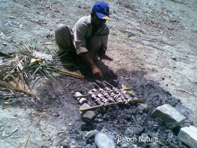 sweet water fish
کورماھیگ
kormahig
کوُرمہگ ء پچگ
کوری ماہیگانی پچگے باز وڑ انت ۔ بلے شیپک ء کنگ او پدا اشکرانی سرا پچگ یک کُوھنیں وڑ و پیمے -۔
