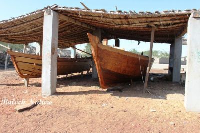 Boat building shelter
لانچ ء کارجاہ
Lanch e karjah
بلوچستان ءَ اے لانچانی کارجاہ انت ، بزاں فیکٹری۔ ادا زندے ہچ پیمیں آسرات نیست انت، دارتراش وتی ازباباں وتی ہمرائیا کاریت ءُ کار کنت پدا وتی ہمرائیا بارت گوں او لانچانی ڈبّانی چیر ا کُچک وپتگ انت۔ ادا ہنچو مالوم بیت کہ بلوچ راج تنیگا سنگانی دور ءَ زند گوازینگا انت۔ 

