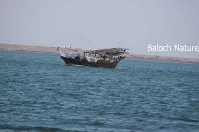 Bojeeg Ma Sabzeen Sawada
بُوجیگ ماں سبزیں ساوڑ ء
بوجیگ  بزاں دریائی اولاک ، مال مردم اولاک چہ بندن چہ دومی بندن ء بارت ، وھدے زمانگ ء پہ آچار بوچیگ رہادگ گپتگ انت بلے مرچاں پہ انجن یا مشین رہادگ بنت ۔ بلوچستان ء بوجیگاں پہ ماھیگے شکارا کارمرز کن انت ۔
