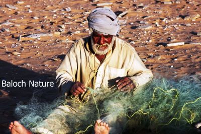 A Baloch Fisherman
Meed
مید
اے اکس یک مید ءِ پیشدارگا انت کہ وتی درتگیں دام بزا ں ماھورانی درتگیں ڈکّان پُچینگا انت ۔
