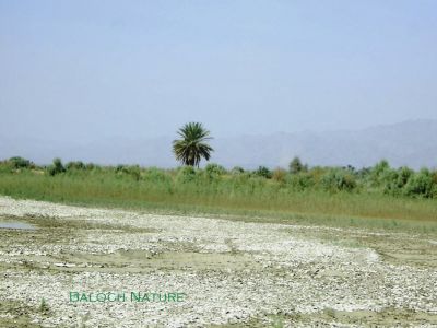 A look of Balochistan
اے بلوچستان انت
Ay Balochistan ant
بلوچستان ءَ اے وڑیں ہزارانی ندارگ است ، قدرت ءَ بلوچستان ءِ پٹ ءُ گیابان ، کور ءُ کوہ کور، کہن ءُ شہجو، کوہ ءُ مات بند یا زر بہ بیت کہ تیاب دراہ چارگ کرز انت ۔ اے اکس ہوت آباد کیچ ءِ چہ نہنگ کور ءَ شہرے چیر ءَ زپت کتگ ۔ 
