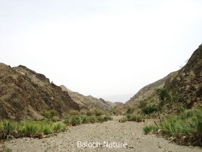 Balochistan's scene 
کوہ کور
Koh koar
اے کوہ کورے ھلاسی انت پرچا چہ دور ءَ دُہمی کوہ زاھر انت۔ بلوچستان ءِ یک کوہ ءِ کہ ھلاس بیت پدا دُہمی کوہ یا مات بند بنگیج بیت، باز چہ دور ءَ پا چہ نزیک نزیک بنگیج بنت ۔
