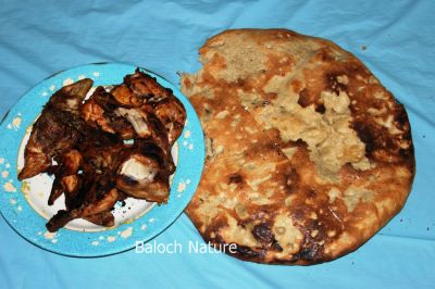 Baloch classic bread
پُرانی ءُ مُرگ
Porani o Morg
بلوچ مردم گیشتران پُرانی چش اتگ ۔ پرانی ءِ جتائیں تام ءِ است انت۔ بلے پُرانی ءُ مُرگے کباب باز وش انت۔ اگاں باور نہ کنت۔ وتی لوگ ءَ پُرانی جوڑ کن، وتی چُکاں ہم بواریں گوں ۔ 

