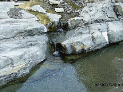 Spring water of Balochistan
Sangartagen Aap
سنگرتگیں آپ گوڈی در کیچ
آپ قدرت ء داتگیں یک سوگات ء - بے آپ ء ہچ ساہ دار زندگ بوت نہ کنت - ہمے سوب انت کہ آپ ہر چیزا زند دنت -  بلوچستان ء ہور کم بوگے سوب ء آپ کم انت - بلے بلوچ کوہ آپانی ھزانہ انت - چمیشکا کم کمّا آپ چمّگانی پیم ء در کائنت - اے ہم یک انچیں آپے کہ سنگرتگ او تچاگا انت - اے وڈیں ساپ او سلّہیں آپ ہمک جاہ ء دست نہ کپیت -۔
