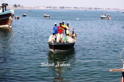 Boat on way
یکدار رہادگ انت
Yaddar rahadag ant
یکدار یا یدّار اے کسانیں لانچ ءِ کہ دریائے نزیک گوراں شکار کن انت ، اے درو شُت نہ کن انت ، اے گیشتر لانچاں وت گون انت گون ، کہ وھدے زلورت ءَ ماھوراں گیش ءُ گیوار کن انت ۔ یکدار گیشتر کم توجیلیں مردم زور انت ءُ وتی کار ءُ بار کن انت ،زردار گیشتر لانچ گرانت کہ کار ءُ بار گیشتر بیت
