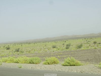 A Landscape of Balochistan
                                    بلوچستان ء ندارگ
Balochistan e Nadarag 
وھدیکہ بھارگاہ ھلاس بیت - گڈا میدان زرد  ترانت ھرنیمگا ھشک و  ویران بنت - بلے کیچ ء  اپریل ء پد تبد و لوارے درگتا ھم کلمیر  سبز و شاداب گندگ بنت - اے قدرتے یک نہ کٹوکیں سوگاتے پہ بلوچ راج ء
