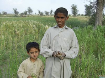 Baloch Children
Baloch Gowando 
بلوچ گوانڈو
گلّہ وھدے زرد ترّان بیت گُڈا چُک و چوریگ ہم پہ ترّ و ھُشکیں گلّہے ھُوشاں سند انت مُش انت ورانت - اے اکسے توکا یک گونڈوگلّہے ھُش ء دستے سرا مُشگاانت او دومی ھُش سستگ و دستا انت -۔ 
                                                                  
